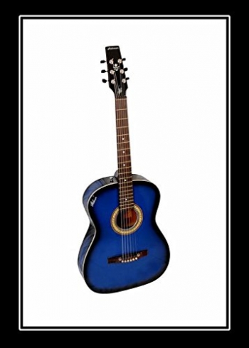 hobmer ft120 guitar with bag